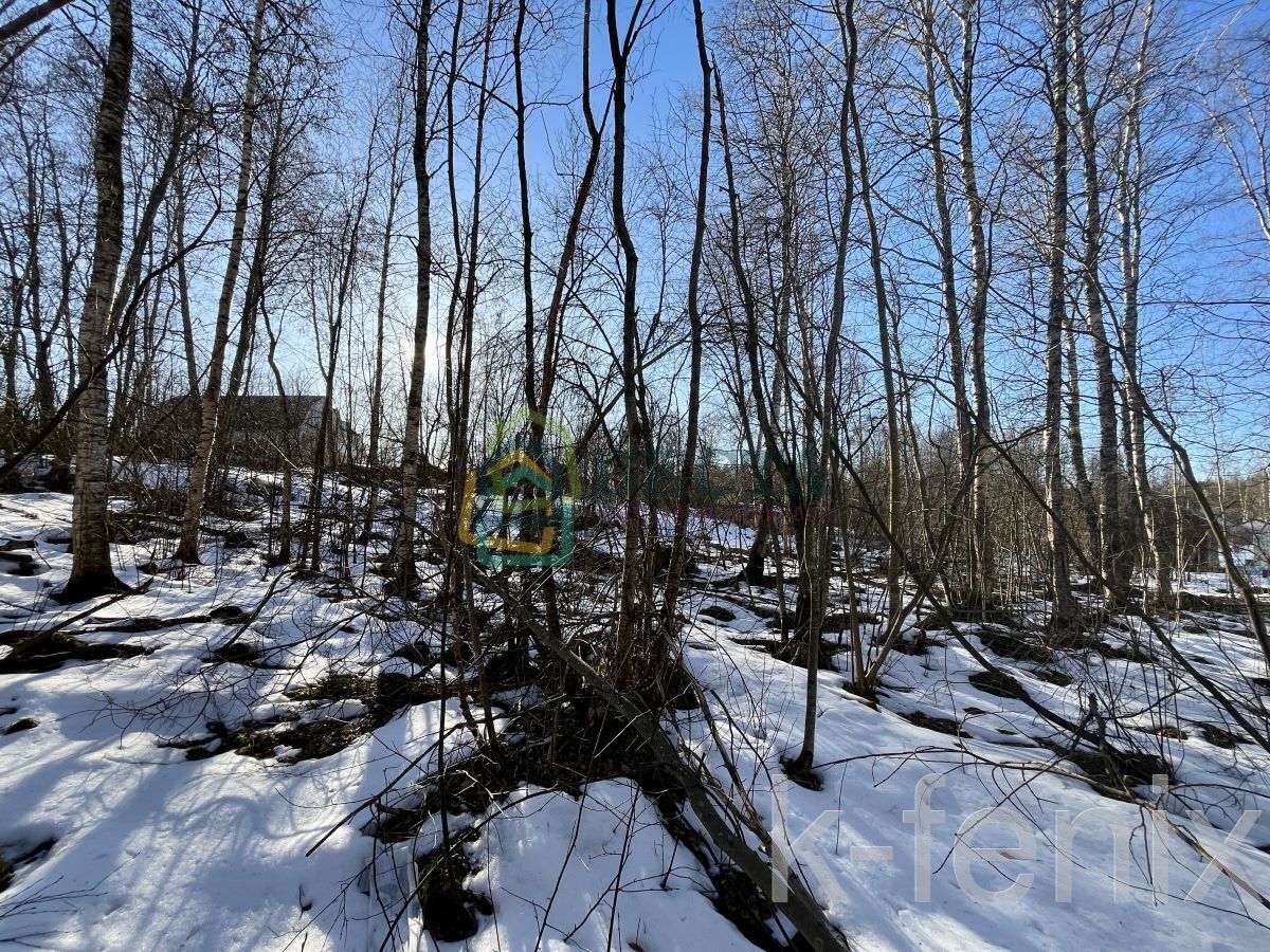 участок 11 сот